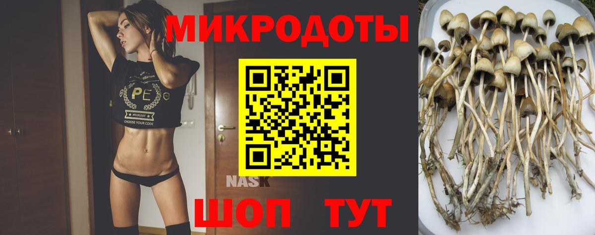 Галлюциногенные грибы Cubensis Воскресенск